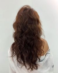 -YESIDO椰岛造型