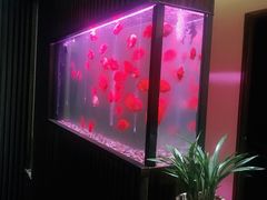 -大唐盲人按摩中心(天山路店)