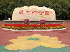 -莲花池公园