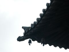 -善化寺