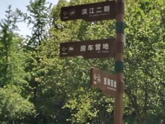 -上海滨江森林公园