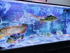 -青石桥花鸟鱼虫市场(叠翠城店)