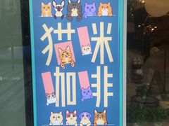-飞行喵MR PILOT|猫舍·猫咖(静安大融城店)