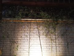 大堂-苏家大院庭院式老火锅(高灯北街店)