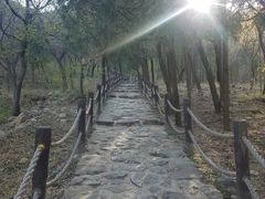 -阳台山自然风景区