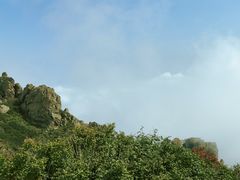 -白草畔自然风景区