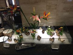 蜻蜓逐宴全日制餐厅-蜻蜓逐宴全日制西餐厅I古北水镇大酒店