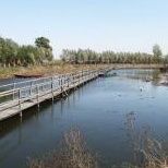 -白渔泡湿地公园