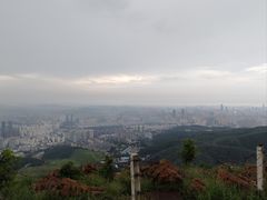 -长虫山生态公园风景林
