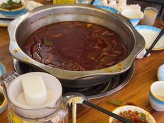 -金鼎雪山牦牛杂火锅(理县总店)