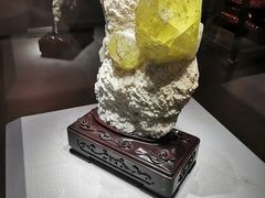 -湖南省地质博物馆