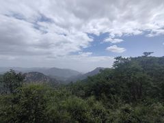 -大岭沟猕猴桃谷风景区