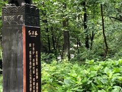 -陕西省红河谷森林公园
