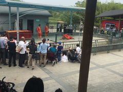 -中国扬子鳄村