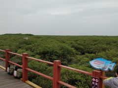 -北海金海湾红树林生态旅游区
