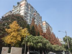 -MS.SALON美发沙龙