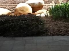 -白云中餐厅·粤菜·亚龙湾喜来登度假酒店