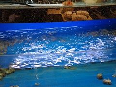 -一麦·龙岛(上海青浦店)