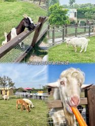 -太湖雪蚕桑文化园