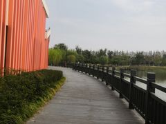 -上海长兴岛郊野公园