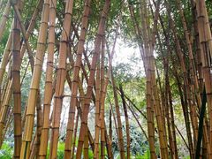 -晓港公园