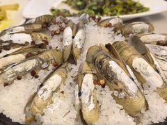 蛏子-华盛丰温州大排档(东三环南路店)