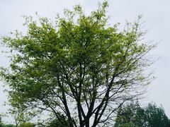 -樱桃山旅游景区