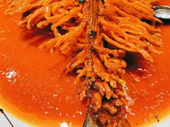 金毛狮子鱼-丹江渔村(望京店)