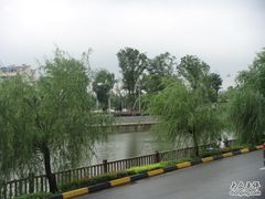 DSC02746-苏州独墅湖书香世家酒店