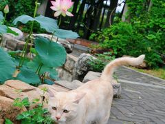 -国家植物园南园