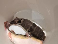 -大潮淮·淮扬菜(何园旗舰店)