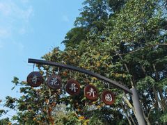 -中国科学院西双版纳热带植物园
