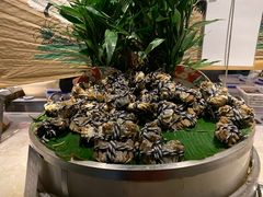-五月罗马海鲜自助餐厅(陆家嘴店)