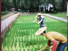 -溱湖国家湿地公园