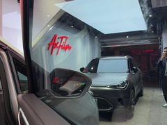 -阿胡BOP保镖隐形车衣(静安旗舰店)