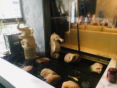 -乐尚音乐空间·钢琴·声乐·架子鼓(会展中心店)