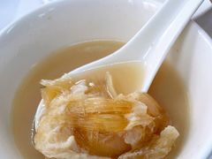 -新陶陶酒家