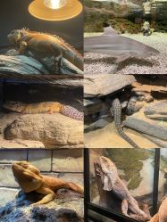 -Zoolung Zoolung动物主题公园(海信广场店)