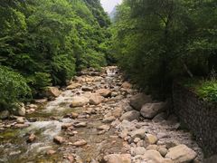 -青峰峡国家森林公园