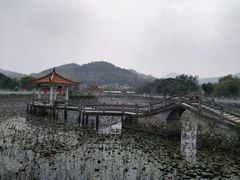 -红山村