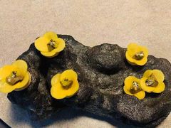 -鱼桥巷·美学川菜