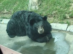 -北京野生动物园