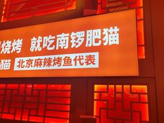 -南锣肥猫·麻辣烤鱼·16年现烤现卖(财富购物中心店)