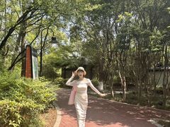 -金鸡湖桃花岛