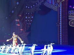 -珠海横琴长隆《卡卡虎奇遇记》