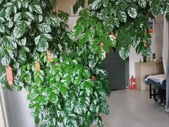 -麦悠悠·SPA·推拿(沈杜公路地铁站店)