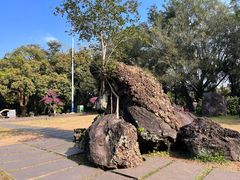 -海口火山口国家地质公园