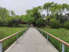 -长广溪湿地公园