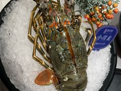-海月轩海鲜豆捞(紫金塔店)