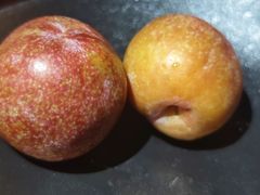 -原牛道·潮汕围炉火锅(讯美店)